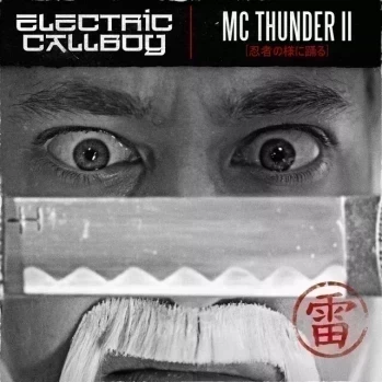 MC THUNDER II (I'm dancing like a ninja)