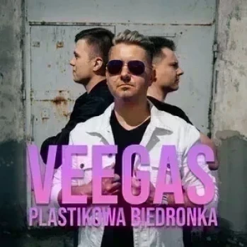 Plastikowa Biedronka