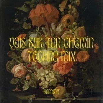 Vois sur ton chemin - Techno Mix