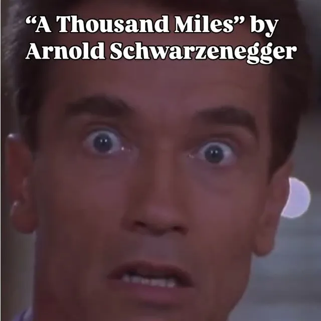 A Thousand Miles (cover by A.Schwarzenegger)