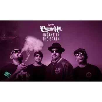 Insane in the brain cypress. Cypress Hill 2022. Сайпресс Хилл Брейн. Cypress Hill Insane in the Brain. The Brains группа.